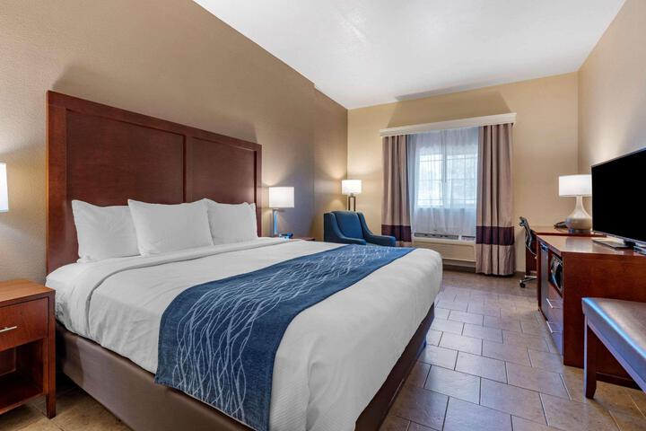 Standard | King Bed (21 of 37)