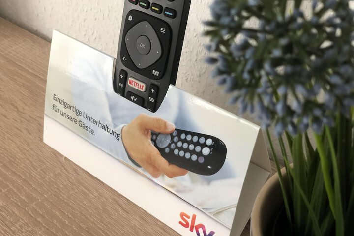 Television