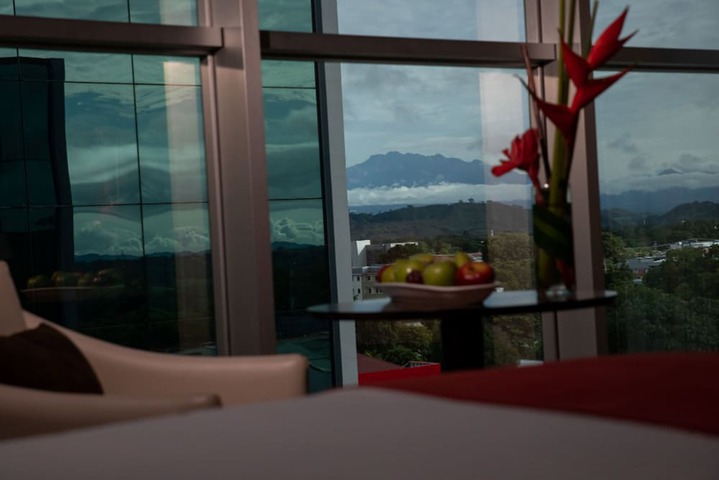View from room