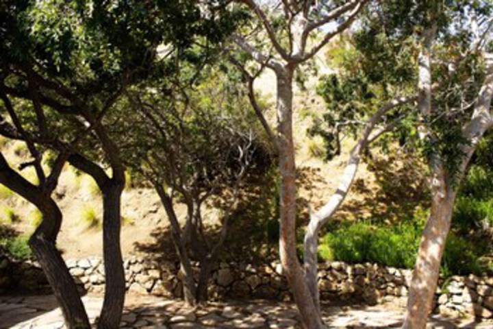 Property Grounds 37 of 48