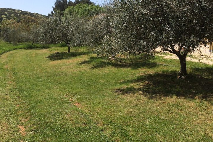 Il Giardino Degli Ulivi