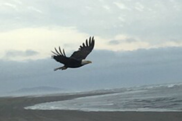 Beach 109 of 123