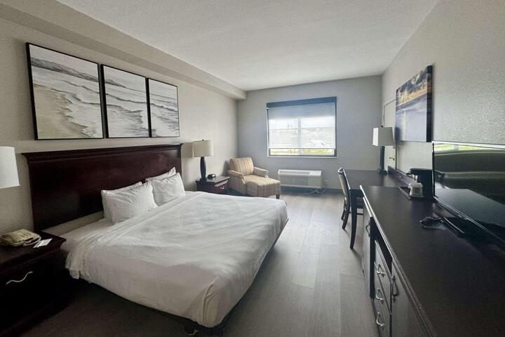1 King Bed (15 of 16)