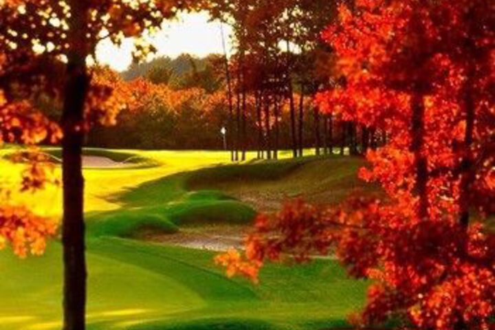 Golf 22 of 48