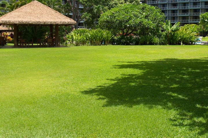 Outdoor wedding area