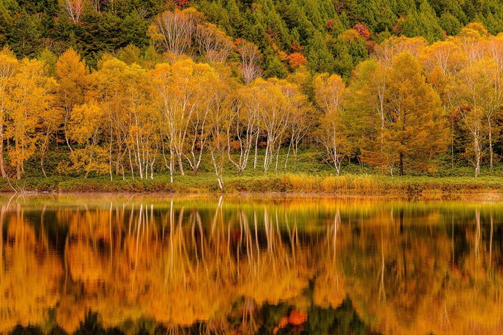 ・The bright autumn leaves reflected on the surface of the lake are perfect for posting on social media!