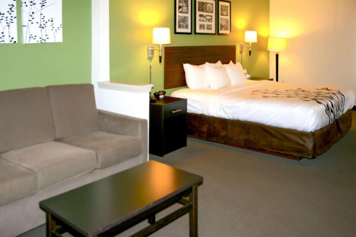 1 King Bed (7 of 11)