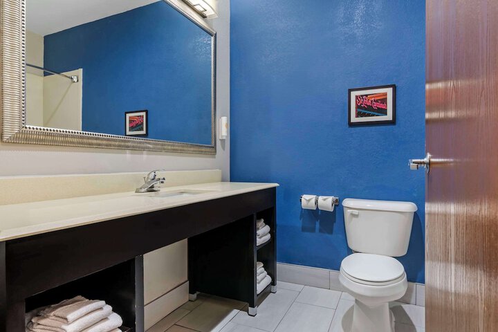 1 King Bed Suite (14 of 25)