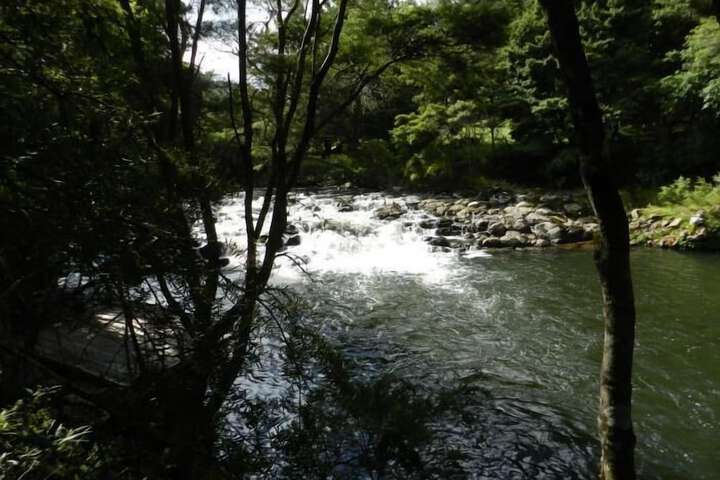 Property Grounds 38 of 45