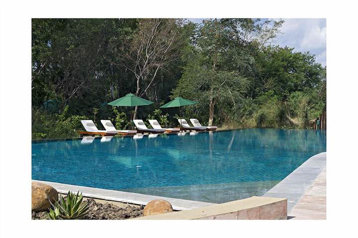 Hotel Pool