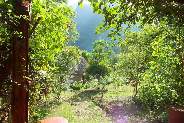 View from room
