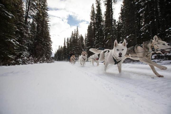 Outdoor Activities 44 of 57