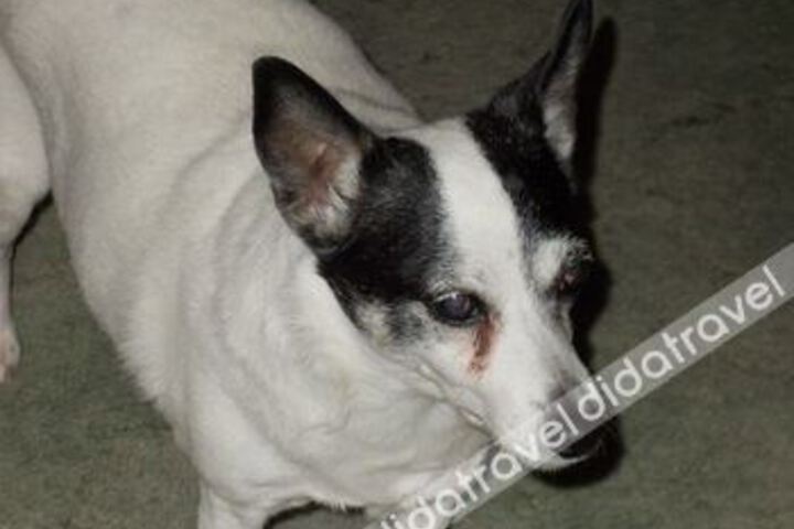 Hotel Interior 7 of 35