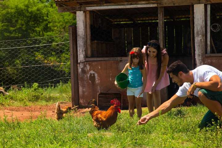 Childrens Activities 18 of 34