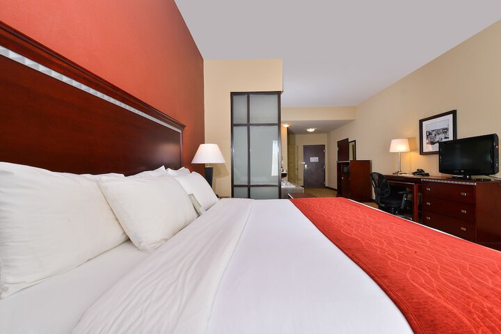 1 King Bed Suite (8 of 20)