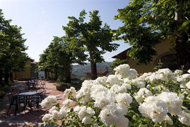 BORGO DI FONTEBUSSI