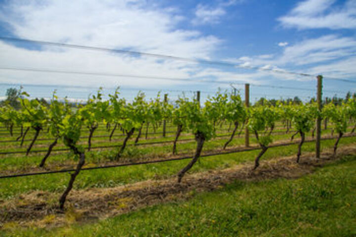 Hotel Exterior 10 of 33