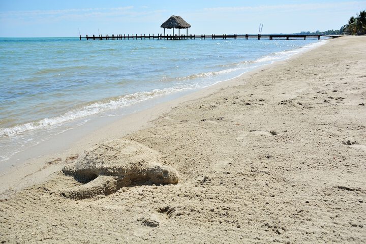 Beach 316 of 328
