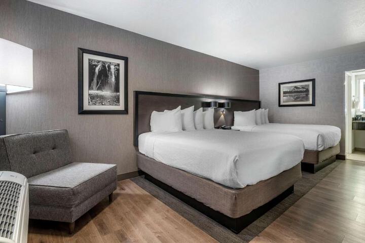 2 Queen Beds Pet Friendly Room Work Desk Microwave and Refrigerator Full Breakfast (15 of 18)