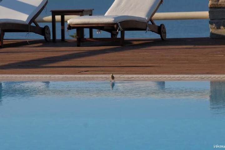 Pool 22 of 44