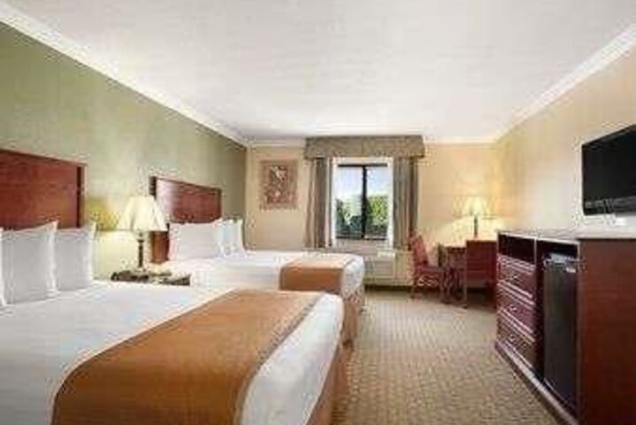 Standard Suite