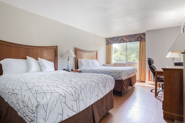 2 Queen Beds (7 of 12)