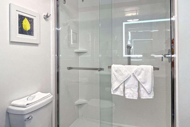 1 King Mobility Hearing Accessible Roll in Shower (3 of 13)