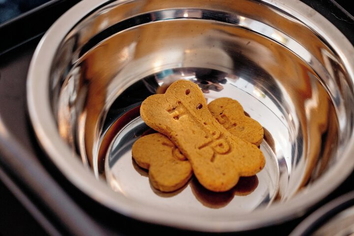 Pet-friendly amenities
