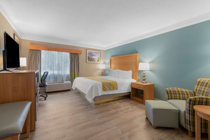 1 King Bed Business Plus Room, Microwave, Refrigerator Full Breakfast (15 of 36)