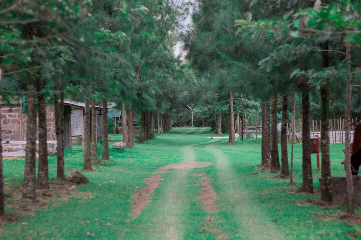 Property Grounds 34 of 38