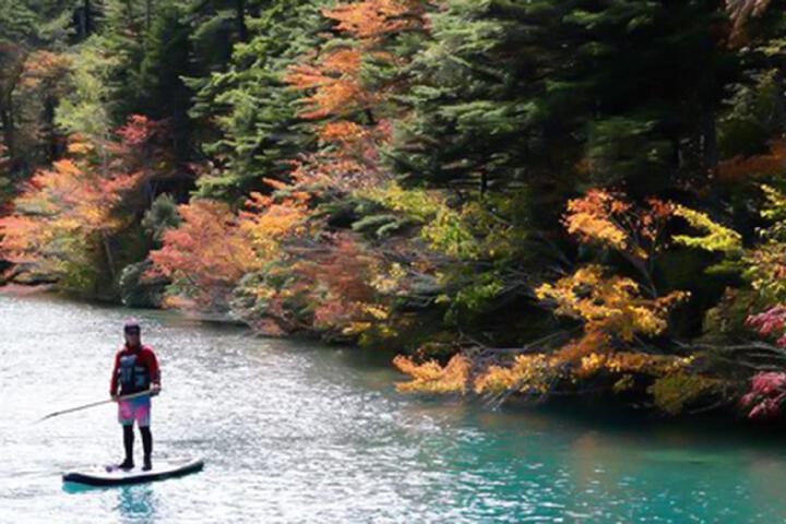 ・[Others] From around September, the trees will begin to change colors little by little.