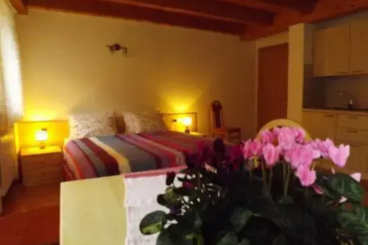 Albergo Alpina