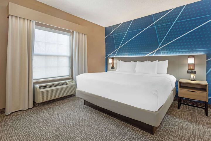 1 King Bed (8 of 14)