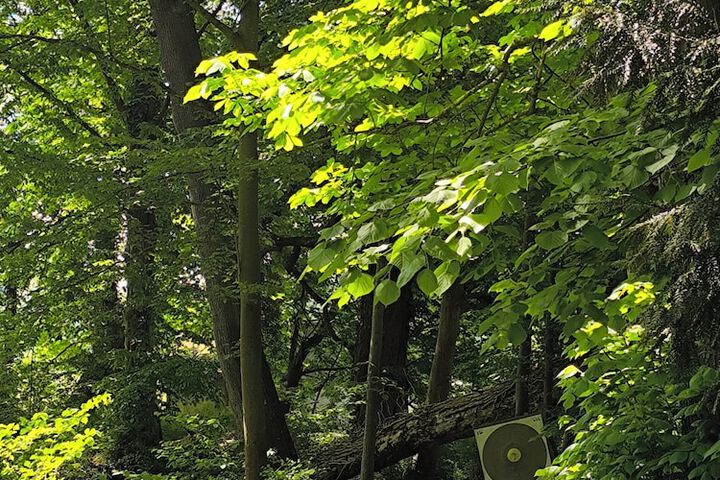 Outdoor Activities 69 of 181