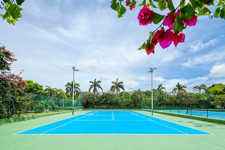 Tennis court