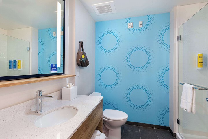 1 King Bed with Walk in Shower (16 of 17)
