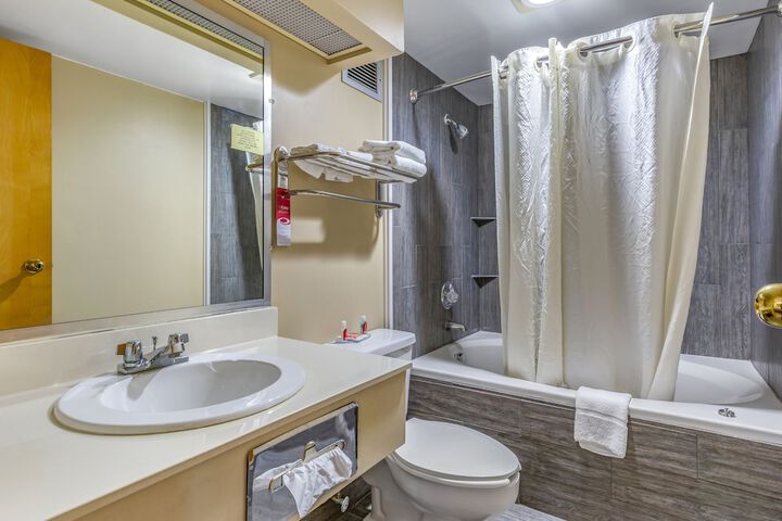 1 King Bed Accessible (4 of 12)