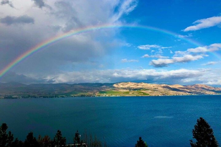 Property Grounds 54 of 100