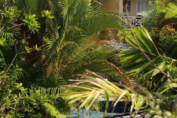 Hotel Pool