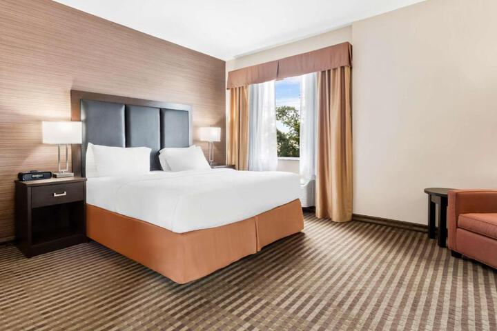 Suite 1 King Bed Sofa Bed Work Desk Microwave and Refrigerator WiFi Full Breakfast (18 of 19)