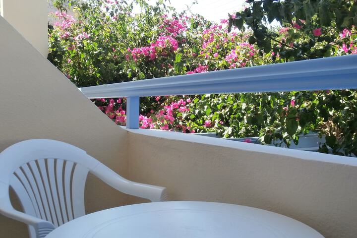 Terrace/Patio 36 of 59