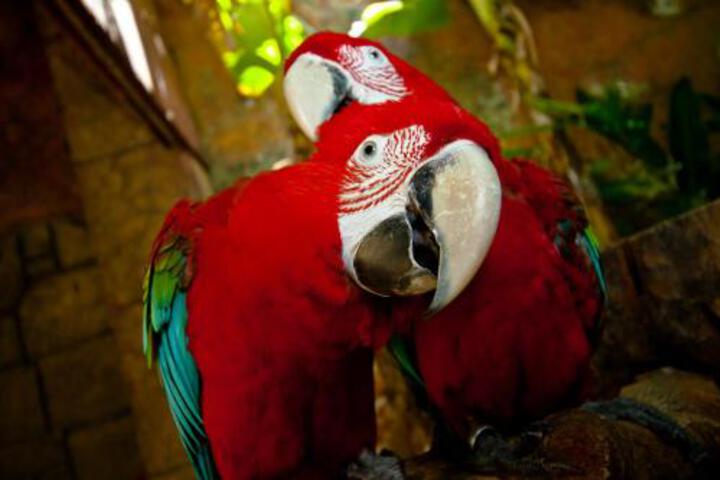 Amazonia Laldea Hotel