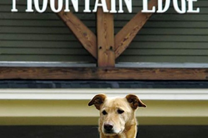 Pet-friendly