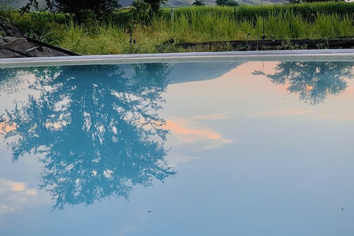 Pool 19 of 36