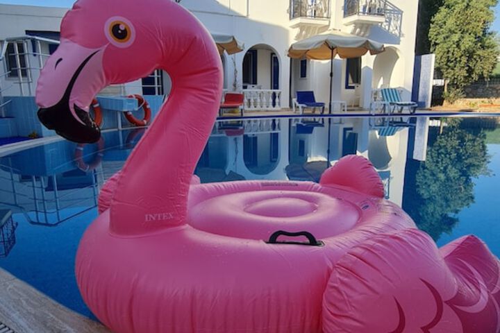 Pool 31 of 55