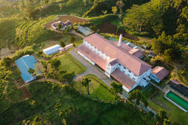 Tea & Experience Factory