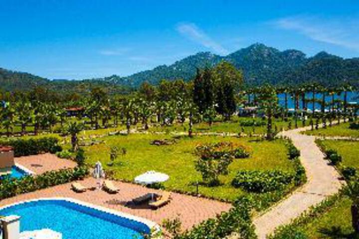Hero Image 1 of 23