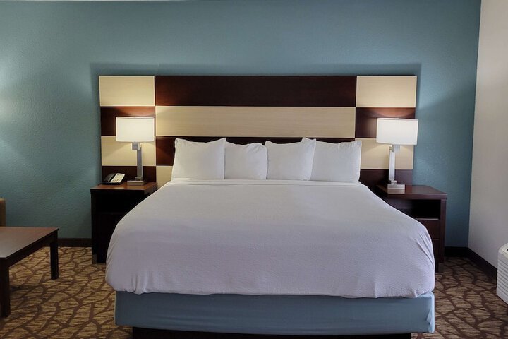 Suite 1 Queen Bed Sofa Bed Microwave and Refrigerator High Speed Internet Accessible Shower Only Full Breakfast (11 of 18)
