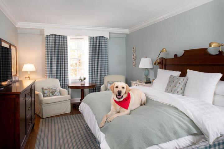 1 King Bed (67 of 67)