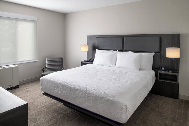 Standard King Bed Sofa (6 of 18)